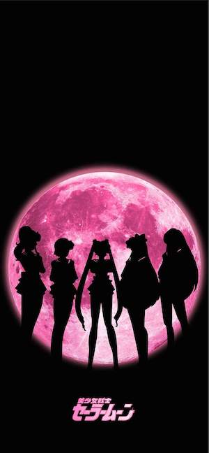 Sailor Moon Guardians Silhouette - 4K Wallpapers