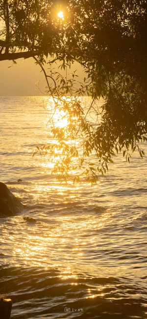 Atardecer en el Lago - 4K Fondos para Celular