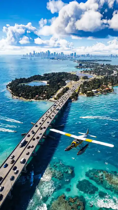 Summer Seaplane Tropical Coastal - Live Wallpaper