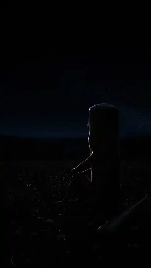 Cinematic Starry Night Silhouette - Live Wallpaper