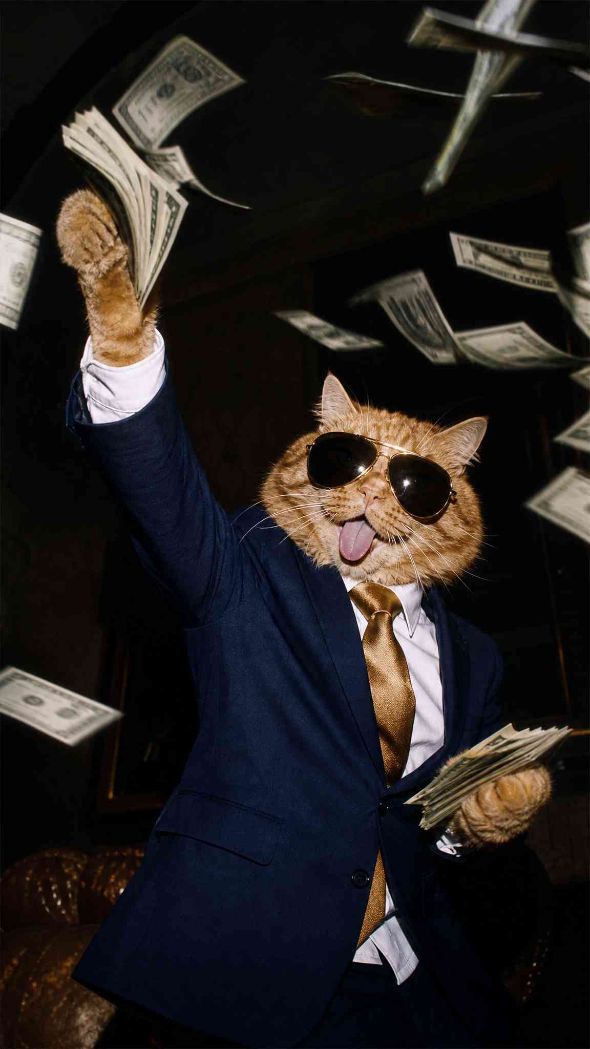 Millionaire Cat Throwing Money Wallpaper