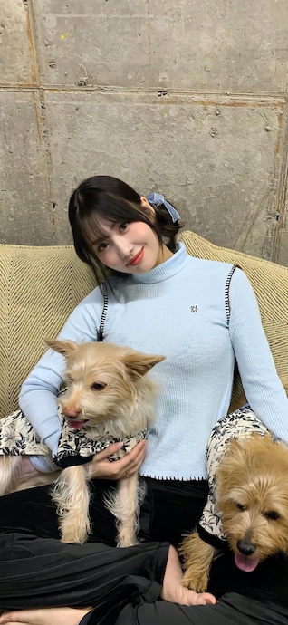TWICE Momo Style Cocooning - Arrière-plan 4K