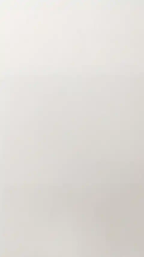 포켓몬 불사조 파티자리 4K 배경화면