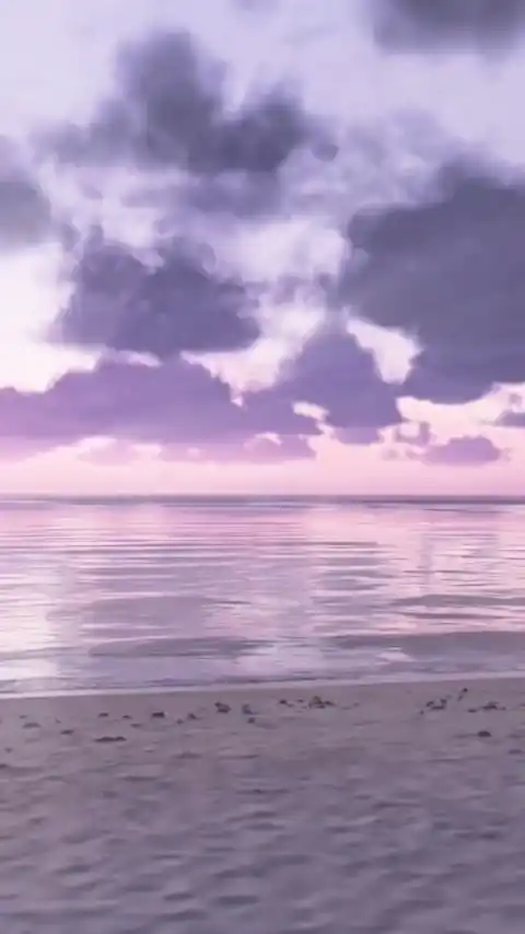 Atardecer Morado en la Playa - Fondo en Movimiento