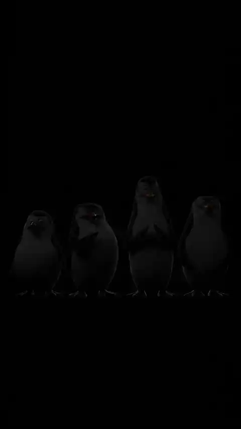 Mysterious Four Dark Penguins Live Wallpaper
