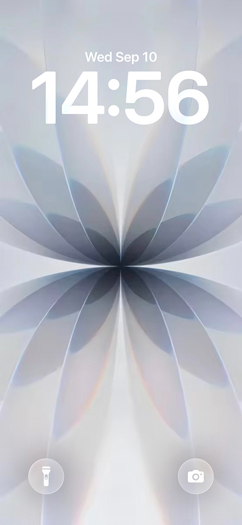 Ein symmetrisches, 3D-gerendertes abstraktes Blumenmuster, das an weiße und graue Blütenblätter mit subtilen irisierenden Highlights erinnert.