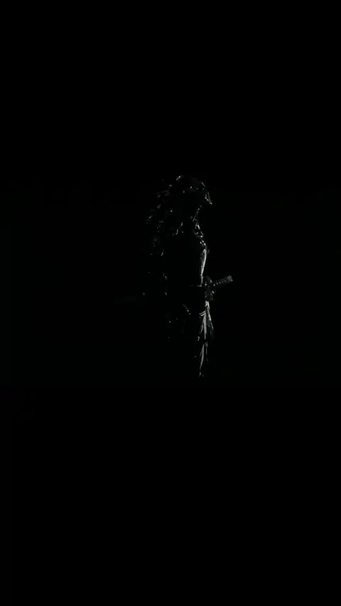 Samurai Minimalistische Silhouette - Live Hintergrund