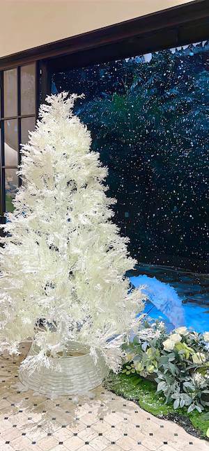 White Frosted Christmas Tree - 4K Wallpapers & Backgrounds
