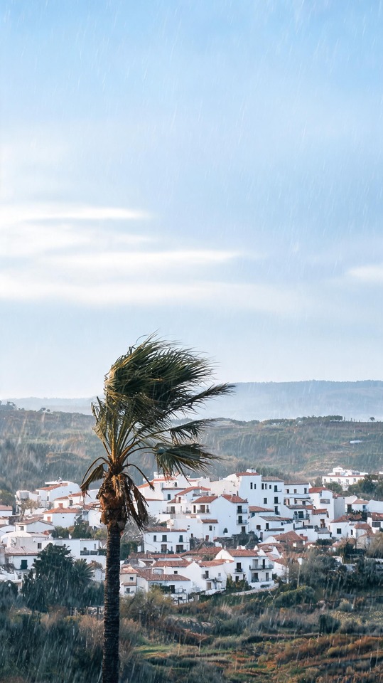 Temps Wetterereignis: Palme - 4K Hintergrundbilder