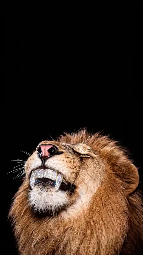 León con Diamantes de Lujo - Fondo en Movimiento
