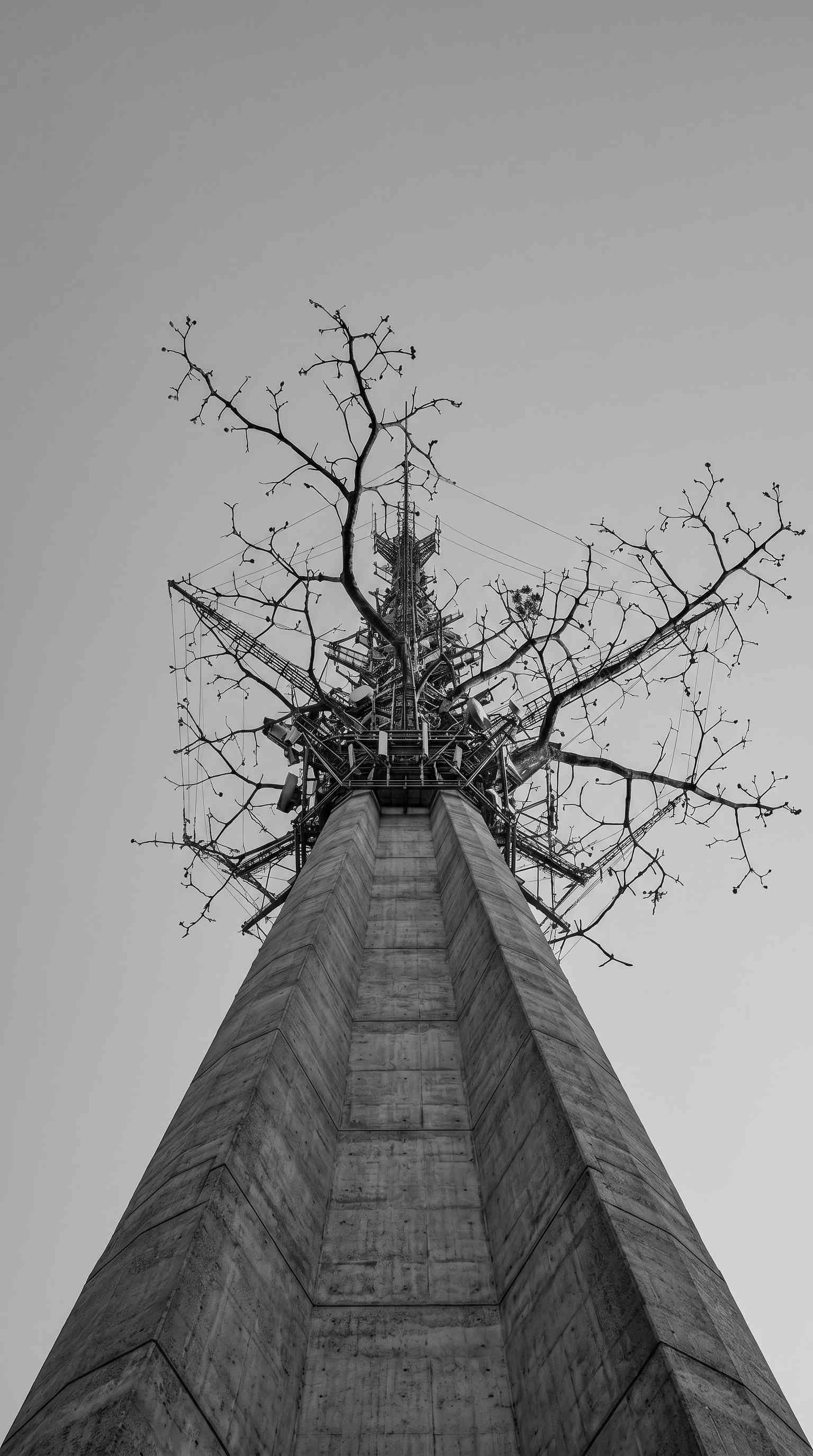 Industrial Tower & Bare Tree - 4K Wallpaper