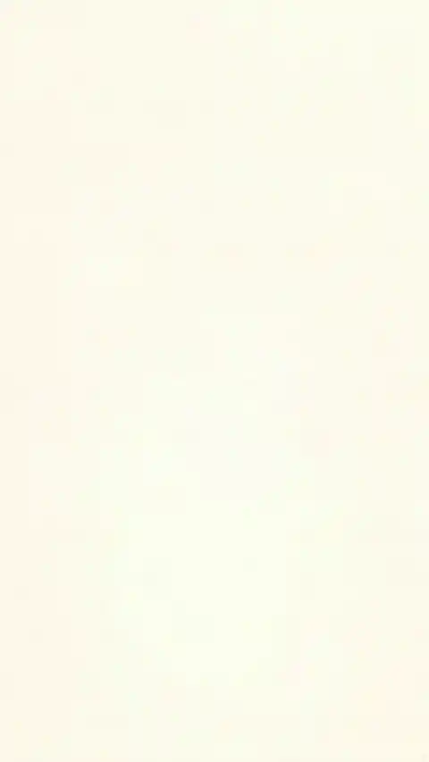 Minimalist Cream Solid - Live Wallpaper