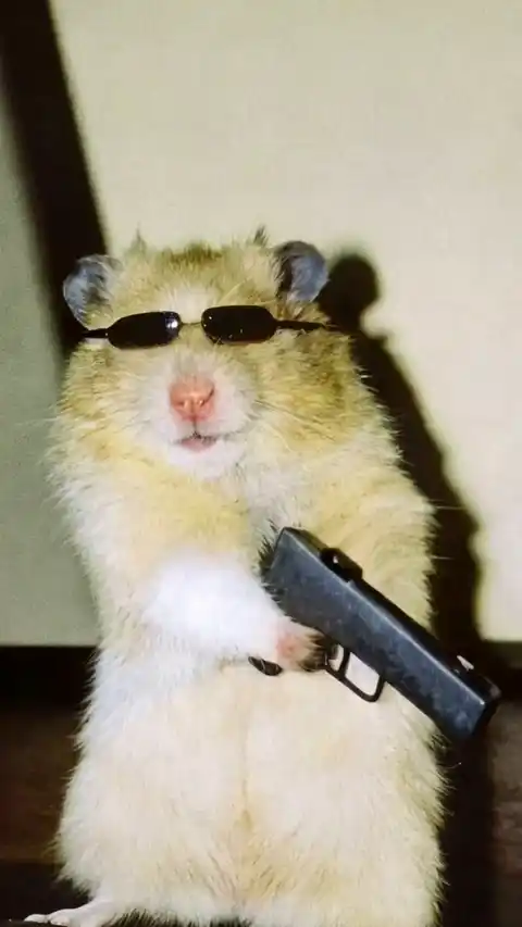 Funny Gangster Hamster Meme - Live Wallpaper