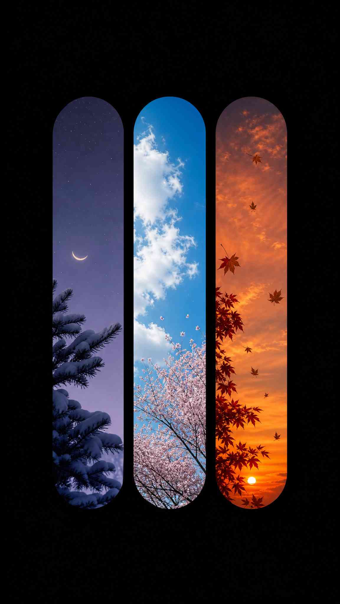 Four Seasons Nature Minimalist - 4K Wallpaper