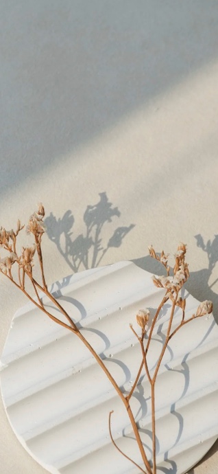 Minimalist Dried Flowers - 4K Aesthetic Wallpaper