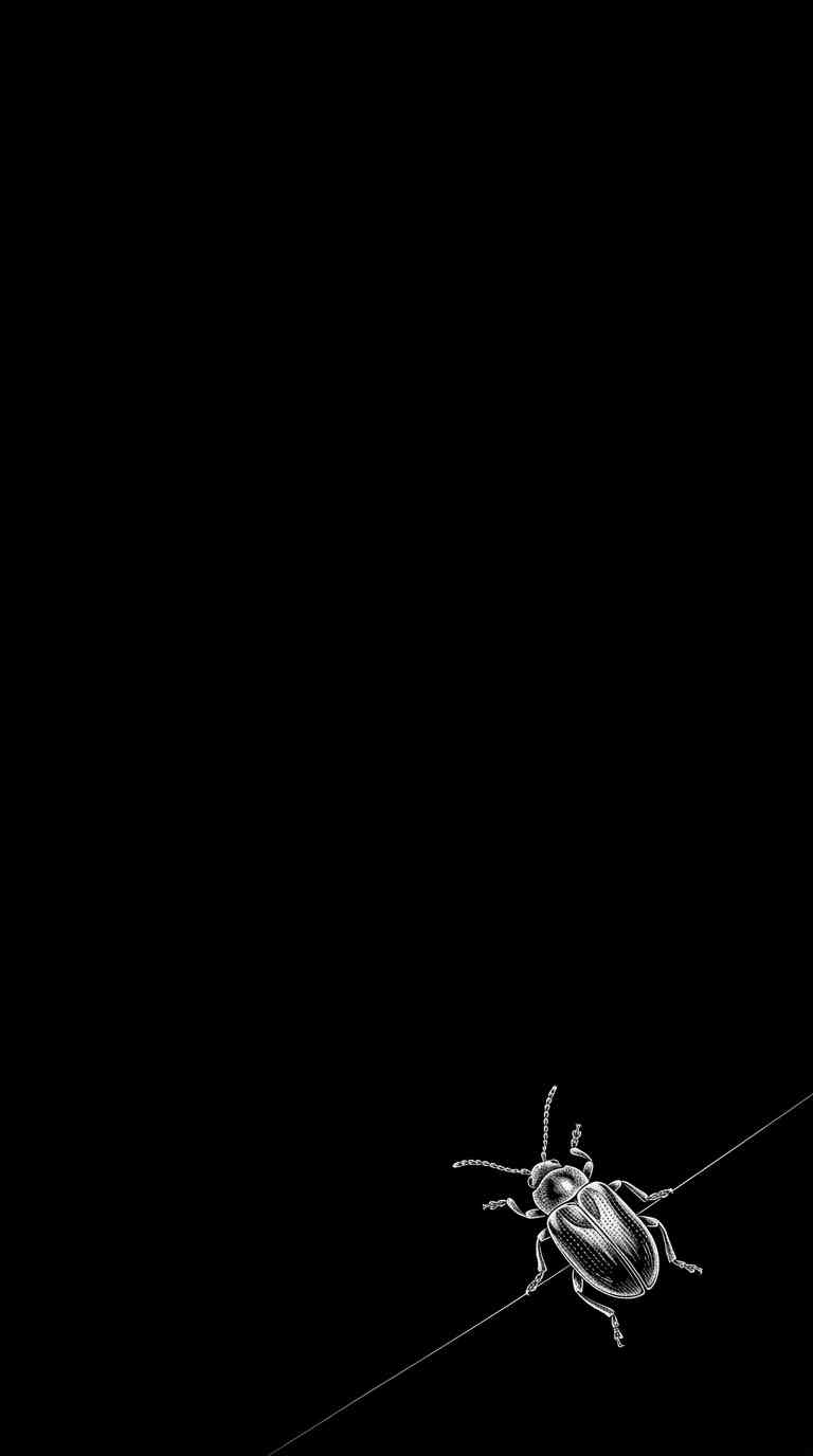 Beetle Sketch Illustration - 4K Phone Background