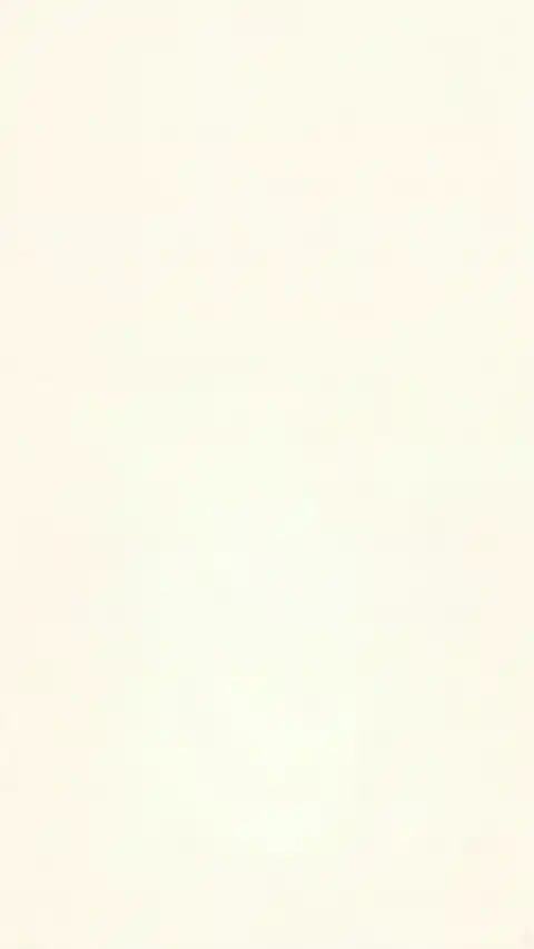 Estética Crema Minimalista - Fondo en Movimiento