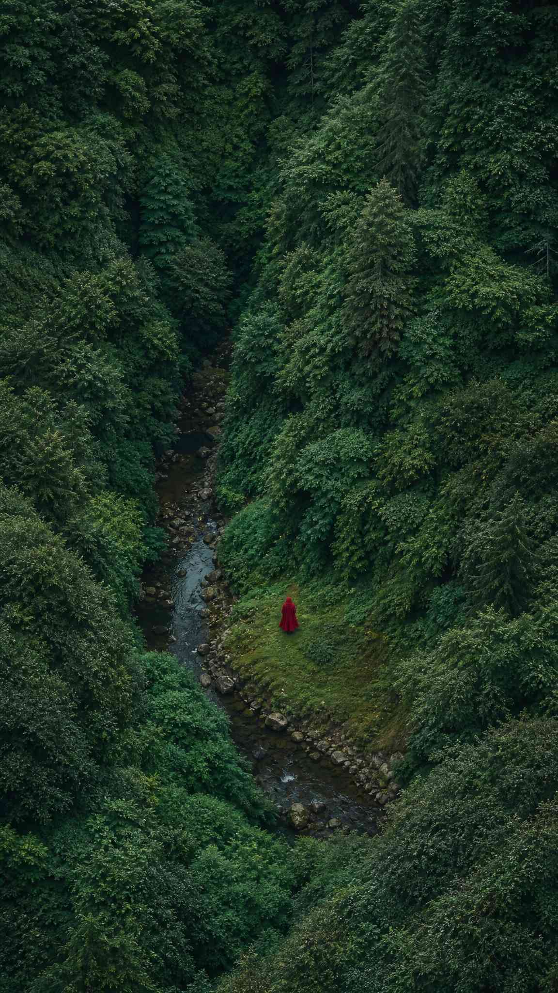 Red Hood Forest Valley - 4K Wallpaper