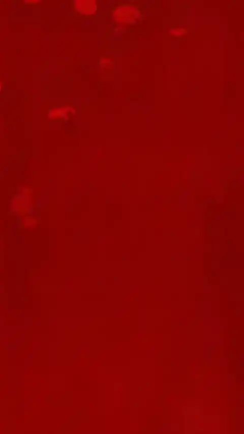 Fond d'écran Dynamique Bokeh Rouge Abstrait