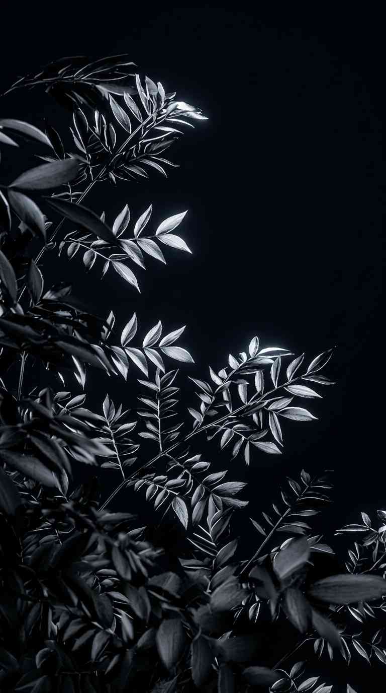 Dunkles Laub Monochrom - 4K Hintergrundbild