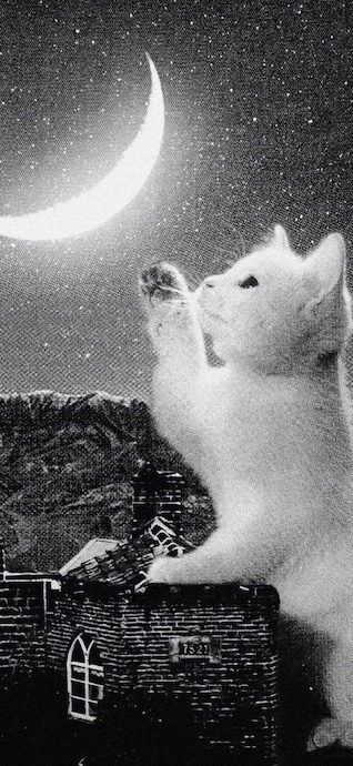 Imagen monocromática vintage de un gran gatito blanco alcanzando una luna creciente en un cielo estrellado.