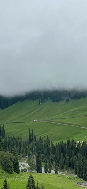 Montaña y Bosque con Niebla - Fondo 4K
