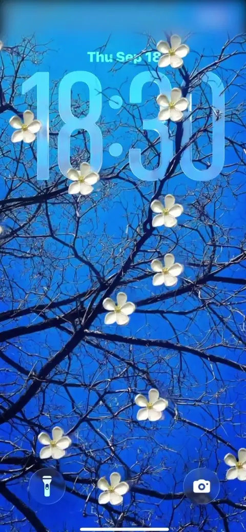 Esthétique Fleurs Blanches - Arrière-plan Mobile 4K