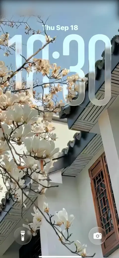 Magnolias Blancs et Architecture - Fond d'Écran 4K
