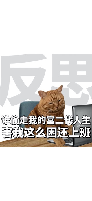 Müde Katze im Büro - 4K Handy Wallpaper