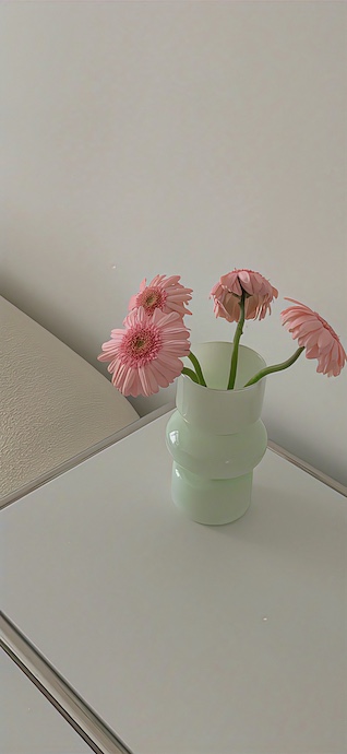 Fleurs Gerbera Rose - Fond d'Écran 4K