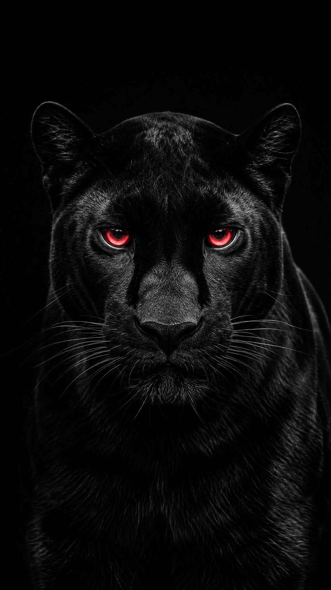 Black Panther with Intense Red Eyes 4K Mobile Wallpaper