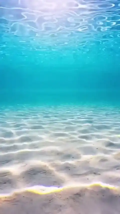 Sommer Unterwasser Welt - Live Hintergrund
