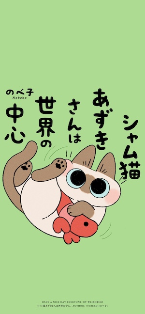 샴고양이 아즈키상 - 4K 고화질 배경화면
