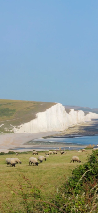 Seven Sisters English Coast - 4K Nature Wallpaper