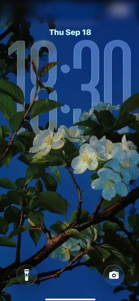 푸른 밤의 꽃 - 4K 배경화면 및 잠금화면