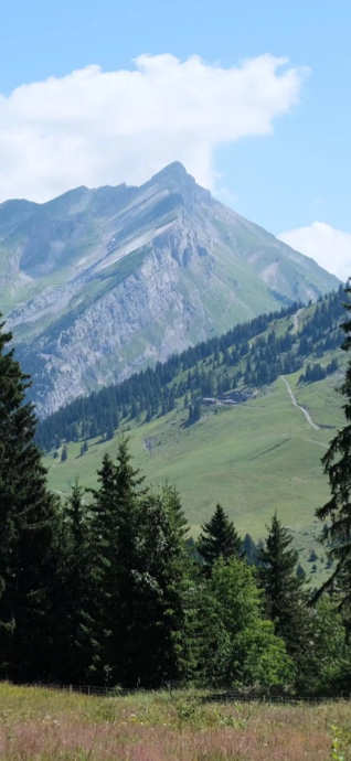 Alpine Mountain Landscape - 4K Phone Background