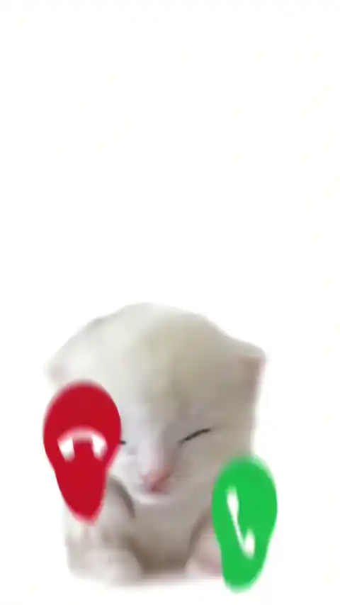흰 고양이 전화 수신 - 움직이는 배경화면