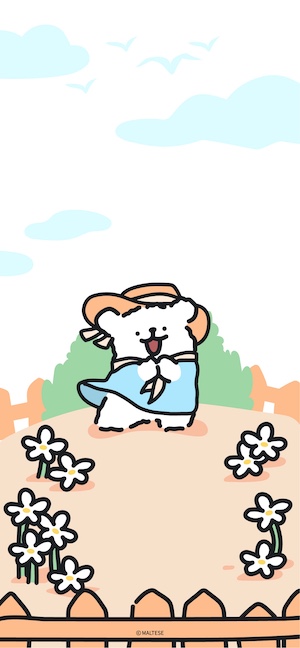 말티즈의 여름 정원 - 4K 고화질 배경화면