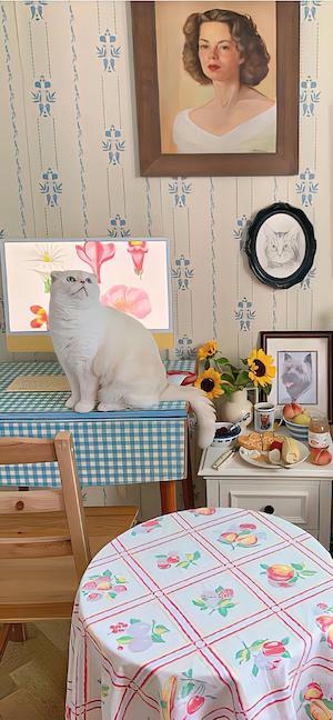 Gato Blanco en Habitación Vintage - 4K Fondos