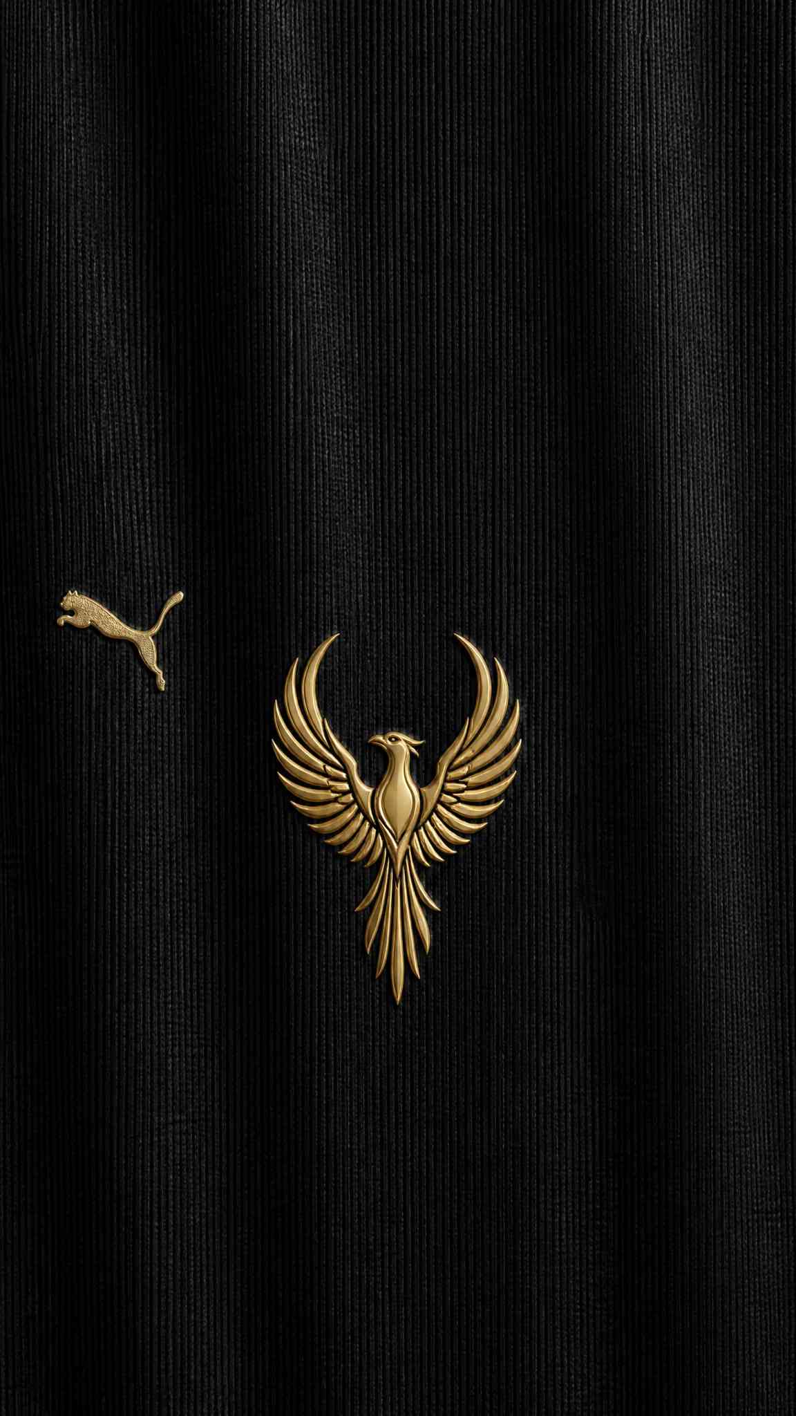 Golden Phoenix Puma Black Jersey - 4K Wallpaper