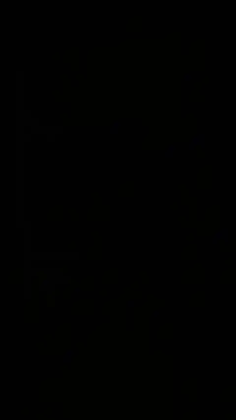 Noir Pur Minimaliste - Fond d'Écran Dynamique
