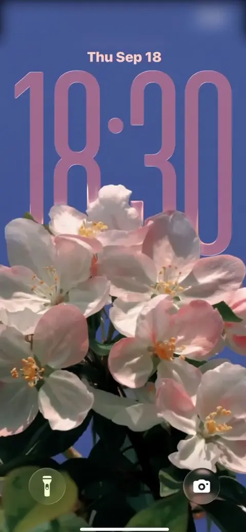 봄날의 분홍 꽃 - 4K 고화질 배경화면