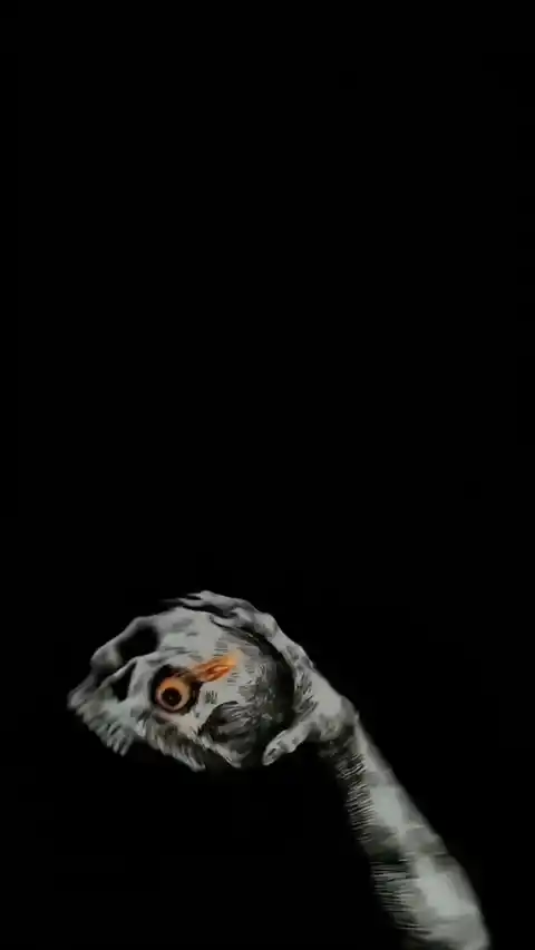 Dark Skull Hand Horror - Live Wallpaper
