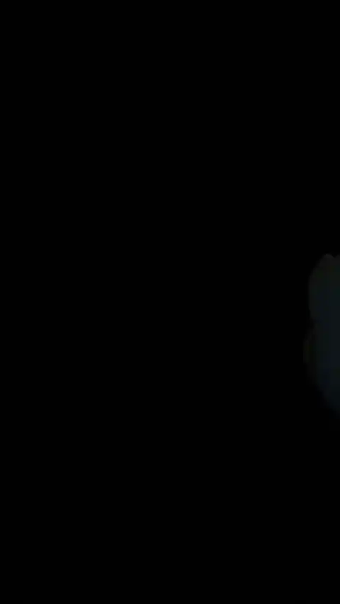 Personnage Minimaliste Noir - Fond d'Écran Dynamique