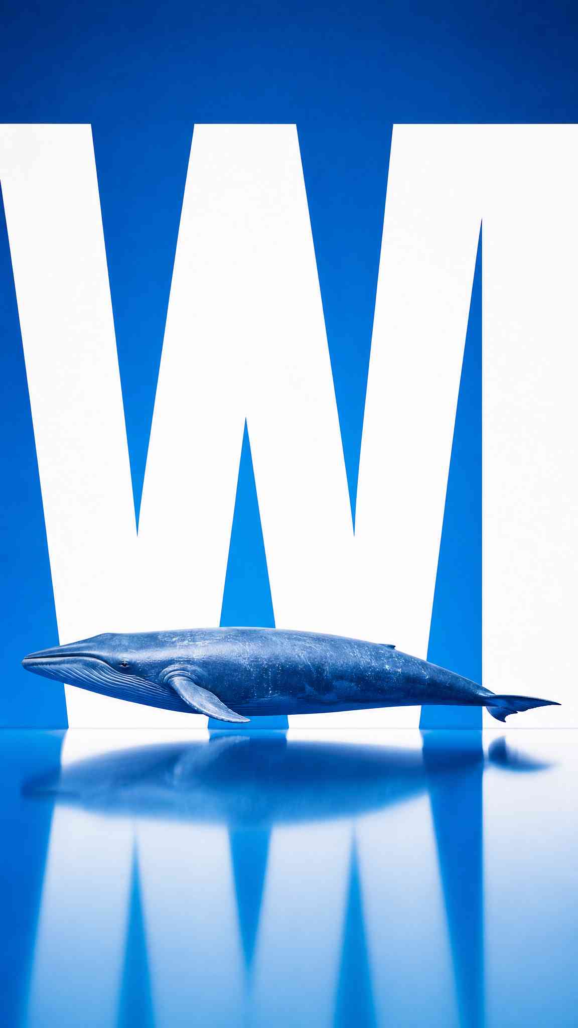 Majestätisches Blauwal "W" 4K Wallpaper