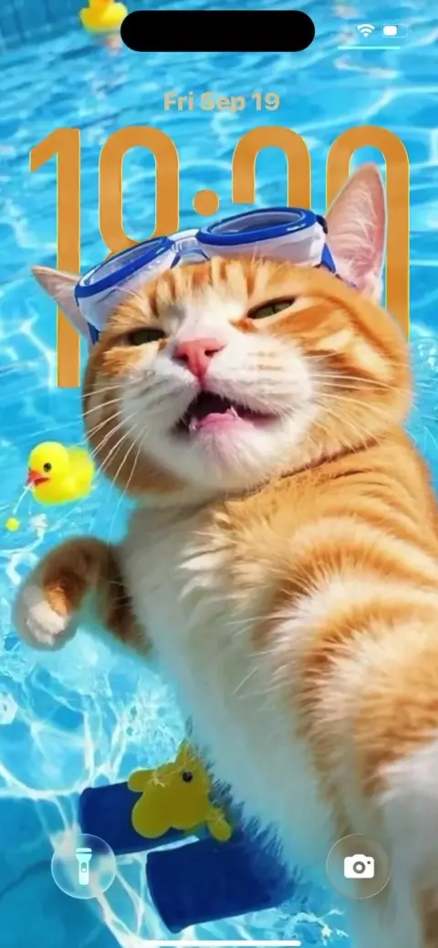Katze im Pool - 4K Handy Wallpaper