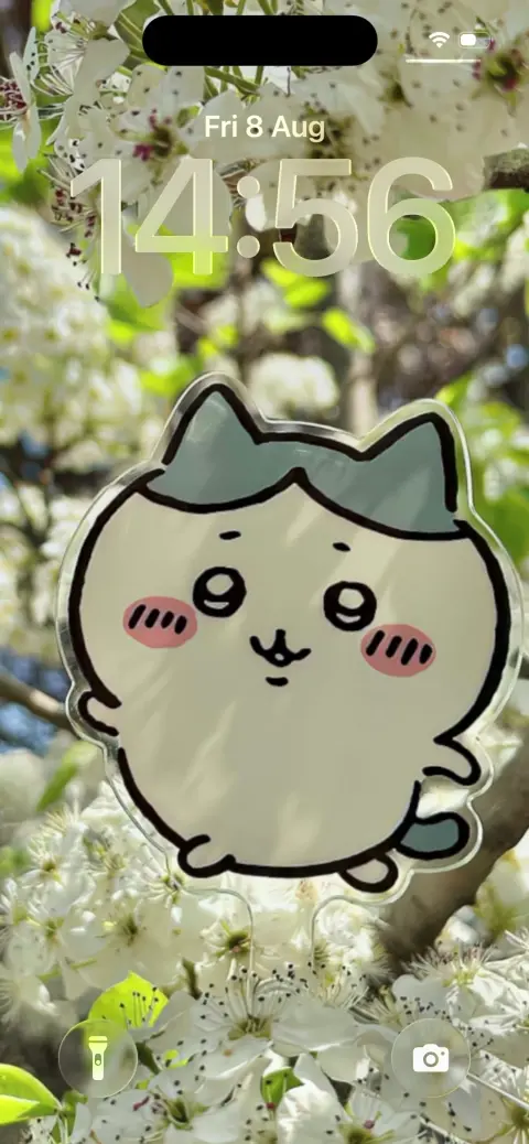 부드러운 햇살 아래 하얀 봄꽃을 배경으로 한 귀여운 치이카와 하치와레 캐릭터 이미지.