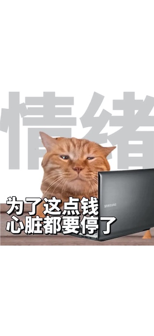 Büro Katze Meme - 4K Handy Wallpaper