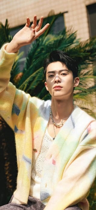 Dylan Wang Wang Hedi - 4K Handy Hintergrundbilder