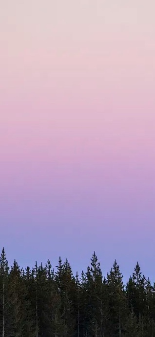 파스텔 노을 숲 - 4K 폰배경